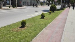 prilep-ubav-22