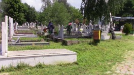 grobista-treva-07
