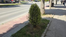 prilep-ubav-20