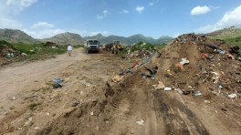 divi-deponii-07