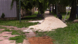 parkovi-narednikot-03