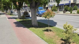 prilep-ubav-21