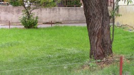 park-tarcan-01