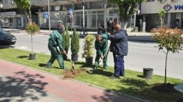 prilep-ubav-10
