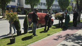 prilep-ubav-18
