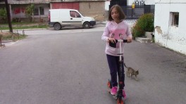 park-tarcan-05