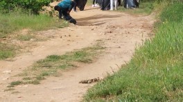 eko-akcijai-20