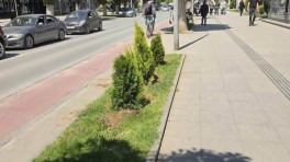 prilep-ubav-05