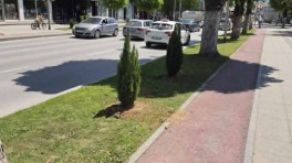 prilep-ubav-08